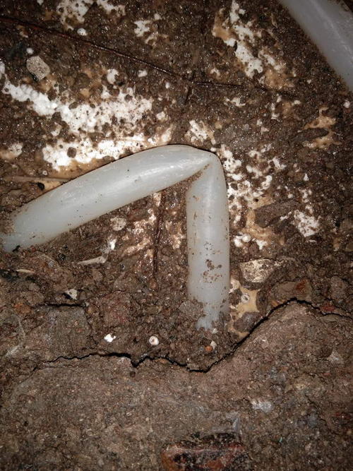 惠来堵点精准查找